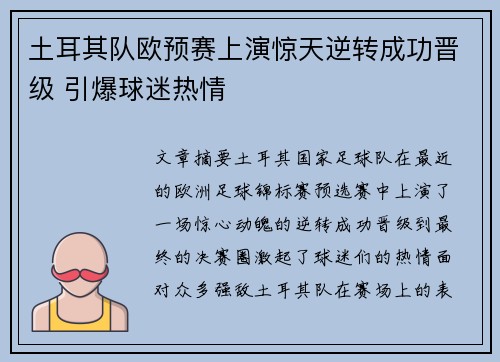 土耳其队欧预赛上演惊天逆转成功晋级 引爆球迷热情