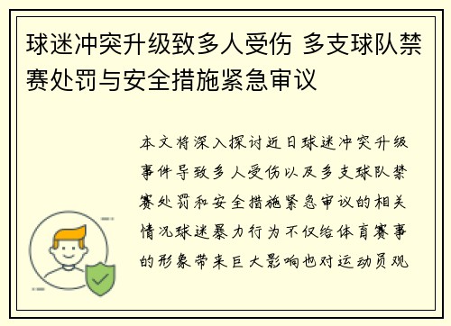 球迷冲突升级致多人受伤 多支球队禁赛处罚与安全措施紧急审议