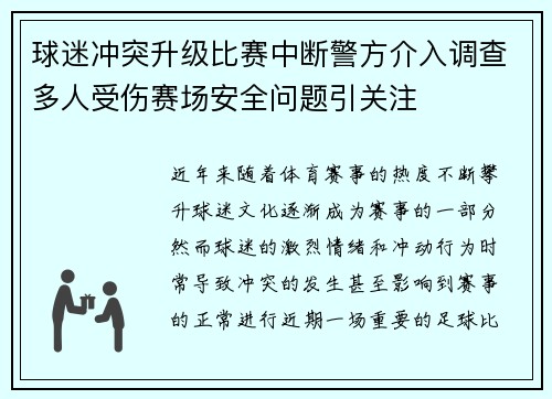 球迷冲突升级比赛中断警方介入调查多人受伤赛场安全问题引关注